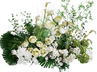 现代玫瑰花 花草 鲜花花束