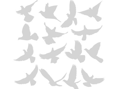 现代飞行的鸽子剪影 剪纸 墙贴 墙饰