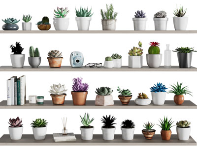 现代多肉植物盆景盆栽摆件组合