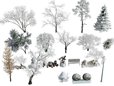 现代冬天盖满白雪的树木 雪景