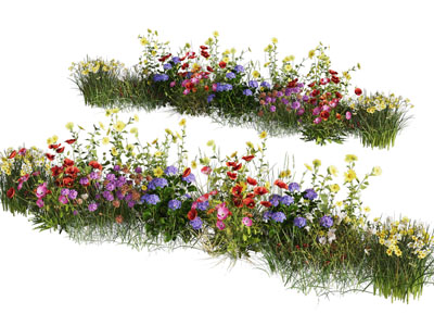 现代花草花卉植物