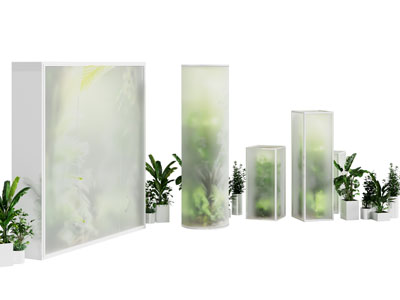 现代磨砂玻璃植物墙 盆景盆栽植物美陈