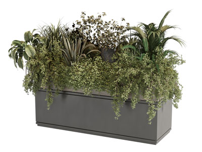 现代花箱花草植物盆栽植物