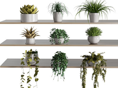 现代花盆盆栽植物摆件