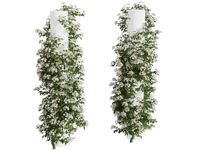 现代花卉装饰柱子 美陈3d模型 现代花卉装饰柱子 美陈