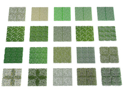 现代草地 草本植物