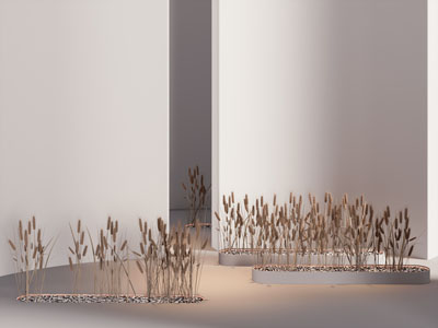 现代室内花坛麦子 麦穗植物景观园艺小品