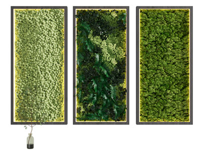 现代植物装饰挂画 植物墙