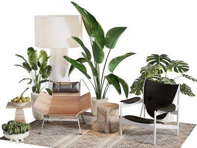 现代休闲椅子 边几 落地灯 盆景盆栽