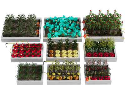 现代花池蔬菜植物