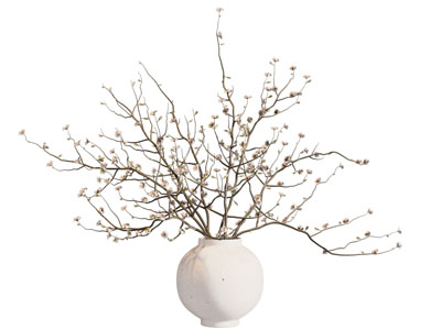 侘寂风陶艺花瓶花卉