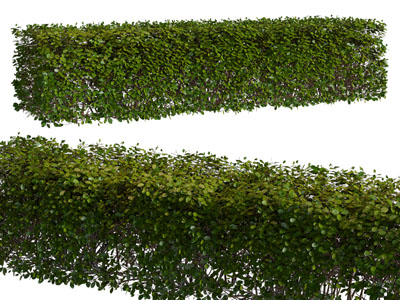 现代景观长方体灌木植物丛