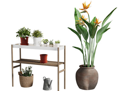 现代花架 盆景盆栽植物