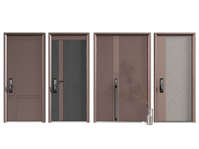 现代带密码锁的入户门 防盗门 子母平开门