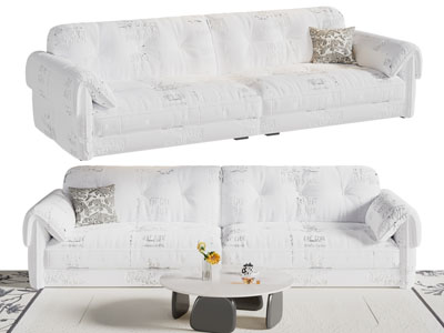 现代双人沙发 茶几组合