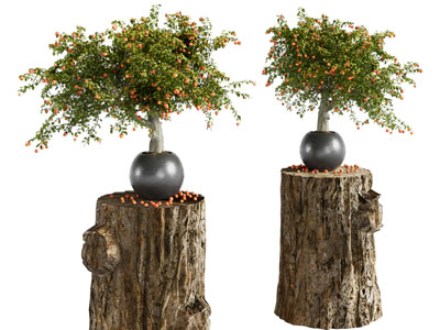 侘寂风木桩花架 陶艺花盆盆景盆栽摆件