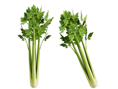 现代芹菜 蔬菜水果