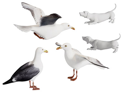 现代鸽子 海鸥 海鸟 狗飞行动物3d模型 现代鸽子 海鸥 海鸟 狗飞行动物