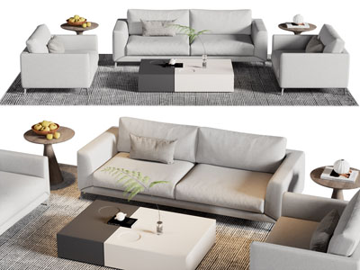 现代双人 单人沙发和茶几组合