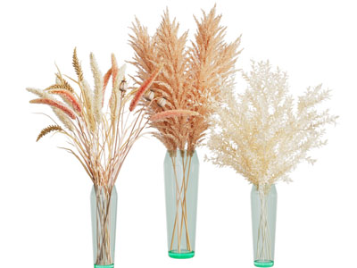 现代玻璃花瓶芦苇花