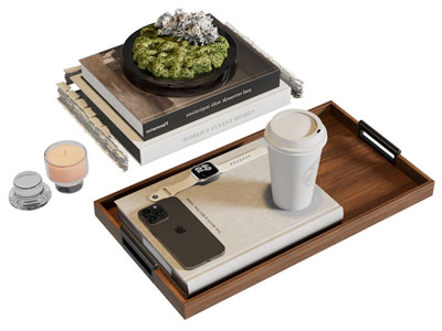 现代托盘书本 咖啡杯 苔藓盆景盆栽摆件组合