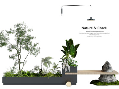 现代景观花草盆栽植物