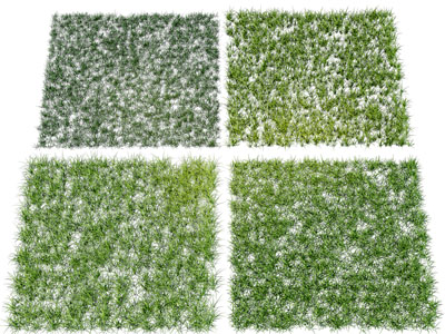 现代景观草地 草坪