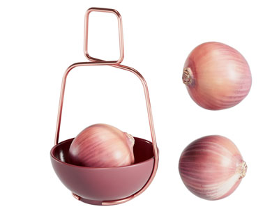 现代洋葱 蔬菜 果盘