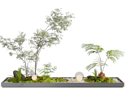 新中式花池树木 花草 石头景观园艺小品