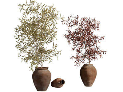 侘寂风陶艺花瓶花卉