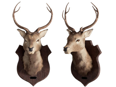 现代麋鹿墙饰挂件