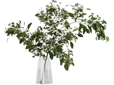 现代玻璃花瓶花卉