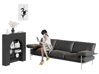 法式多人沙发 装饰书柜3d模型 法式多人沙发 装饰书柜