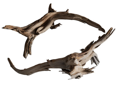 现代枯树枝 木段 木头 木材