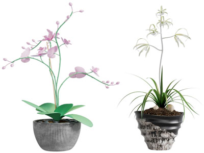 现代花盆盆景盆栽