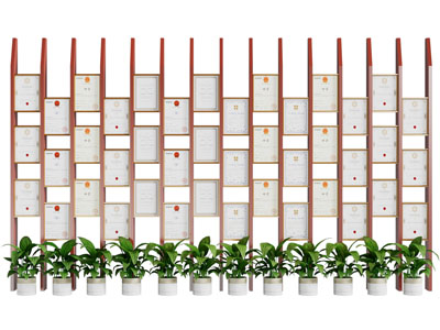 现代党建荣誉墙 宣传栏