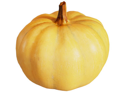 现代南瓜 水果蔬菜