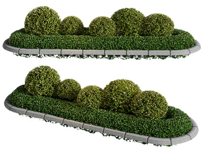 现代花坛灌木丛植物园艺小品