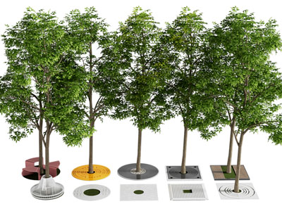 现代道旁树木 景观树木