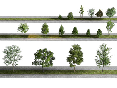 现代道路景观绿化带 园艺小品