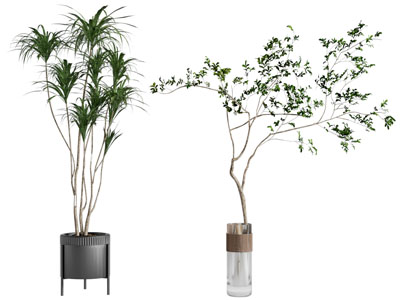 现代玻璃花瓶花卉 摆件组合