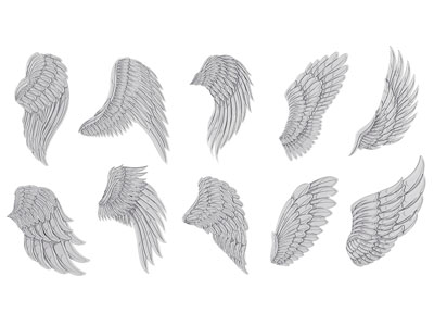 现代翅膀 墙饰
