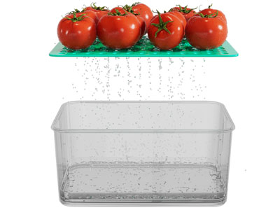 现代水果沥水架 收纳盒 西红柿
