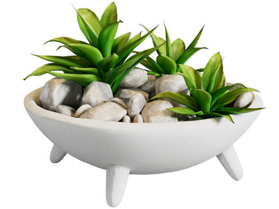 现代石子植物盆景盆栽