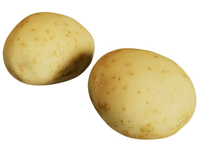 现代马铃薯 洋芋 土豆 水果蔬菜