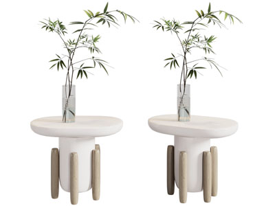 现代边几 花瓶花卉3d模型 现代边几 花瓶花卉