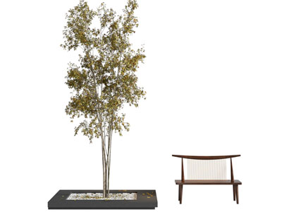 现代景观树木休闲椅子