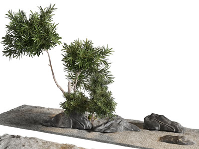 新中式石头 树木景观园艺小品