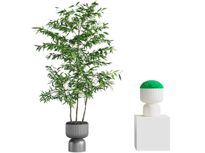 现代花盆竹子盆栽植物3d模型 现代花盆竹子盆栽植物