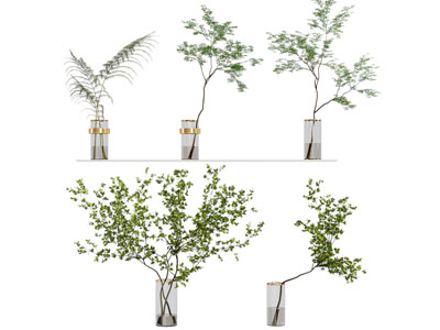 现代玻璃花瓶花卉